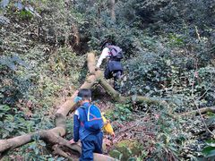 -樱桃山旅游景区