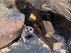 -常州海昌海洋探索馆