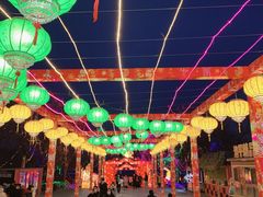 -青龙湖公园