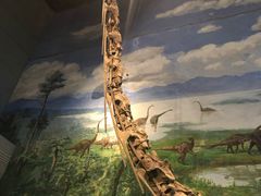 -自贡恐龙博物馆