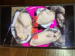 -蠔爺王志德生蚝馆(金沙湾店)