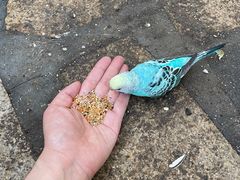 -南宫五洲植物乐园