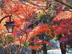 -杭州半山国家森林公园