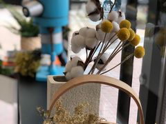 -卖呆儿咖啡(望京店)