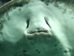 -苏州海洋馆