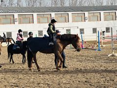 -卓悦童国际幼儿园