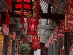 -小龙翻大江文化火锅(宽窄店)