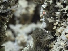 -湖南省地质博物馆