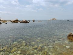 -养马岛旅游度假区