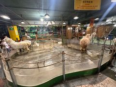 -上海大自然野生昆虫馆(东方明珠·爬宠昆虫探索中心)