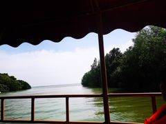 -东寨港红树林旅游区