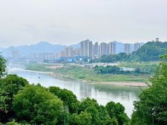 -金海湾滨江公园