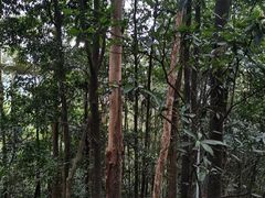 -水濂山森林公园