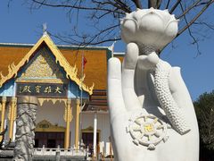 -报恩禅寺