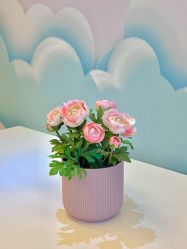 -纵享怡月月子中心(西稍门店)