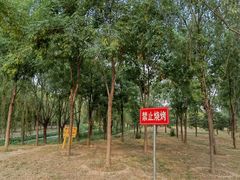 -东坝千亩湖公园