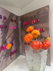 -悦颜美佳·美容·美甲美睫