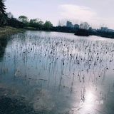 西扩公园