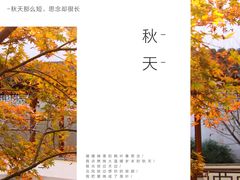 -秋霞圃