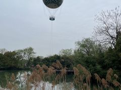 -西溪国家湿地公园