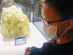 -中国地质大学逸夫博物馆