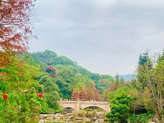 -云溪植物园
