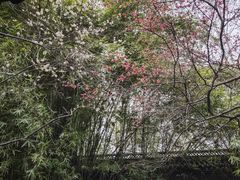 -钱王祠