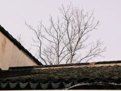 -葑门横街