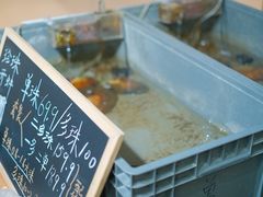 -十八字金·银饰·拼豆·开蚌DIY(魏公芳华里店)