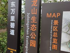 -聚龙山公园