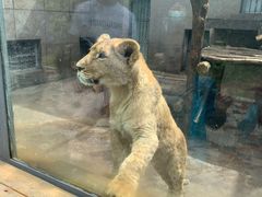 -西安秦岭野生动物园