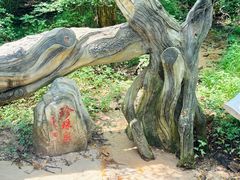 -大青沟风景区