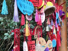 -福建天门山