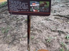 -野象谷景区