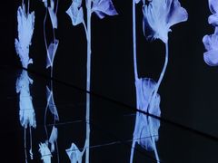 -时代美术馆-成都馆