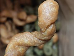-王阿姨文昌油赞子(府桥街店)