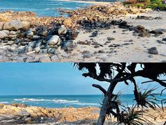 -海南霸王岭国家森林公园