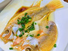 -美居大酒楼(美居广场店)