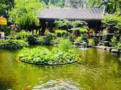 景观位-白家大院·王府宫廷菜(苏州街店)