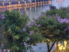-狮伙海鲜捞(千灯湖店)
