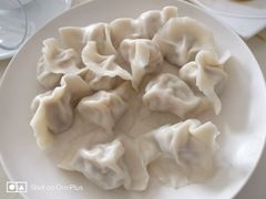 -福园东北菜饺子铁锅炖