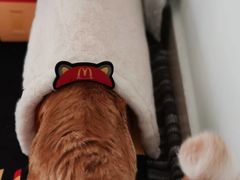 -麦当劳(燕顺路店)