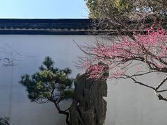 -杭州植物园