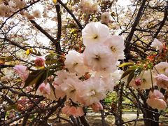 -莲花池公园