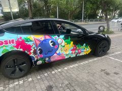 -车艺佳龙膜隐形车衣汽车贴膜(宝山丰宝店)