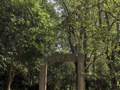 -上海佘山国家森林公园天马山园