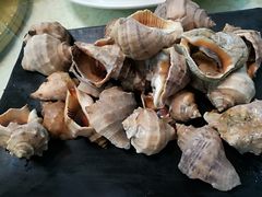 -雅逸居海鲜小厨