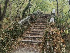 -青龙山国家森林公园