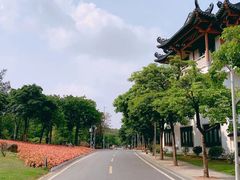 -广东花都湖国家湿地公园