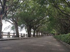 -大湾区中央湿地公园